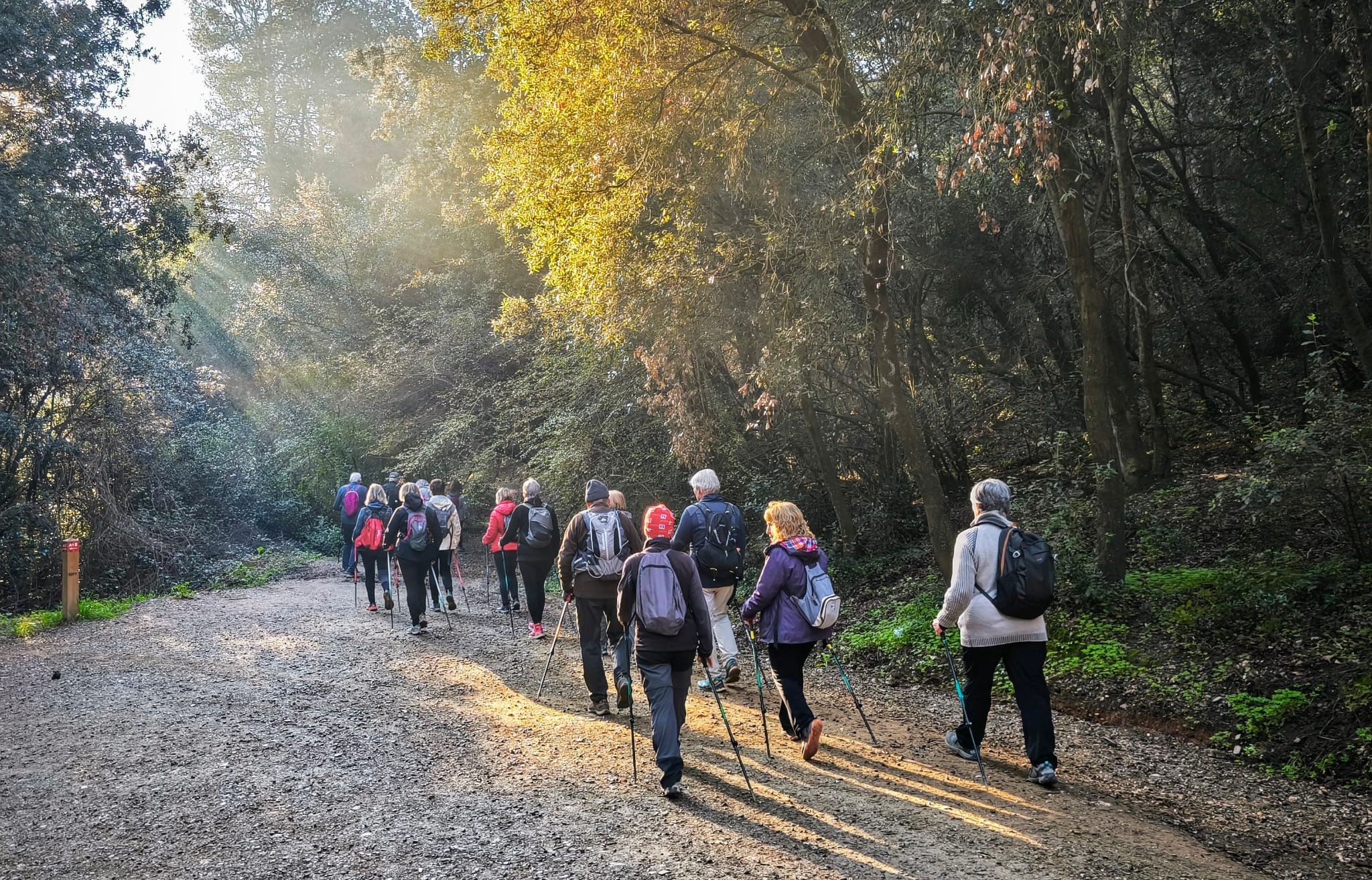 Marcha nórdica Collserola